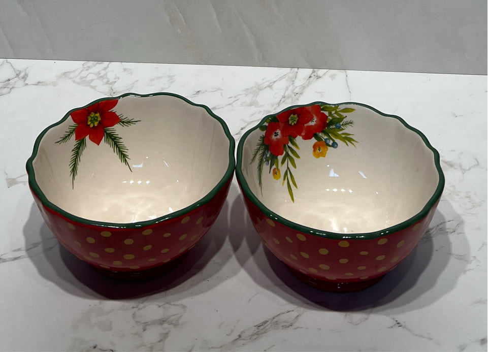 Set of 2 Pioneer Woman Bowls