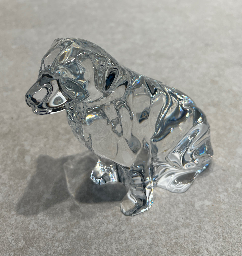 Waterford Dog
