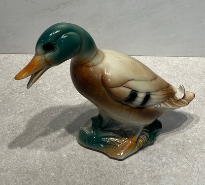 MCM Style Duck