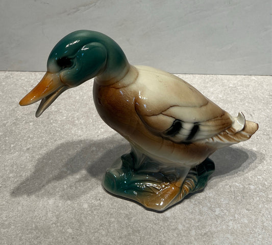 MCM Style Duck