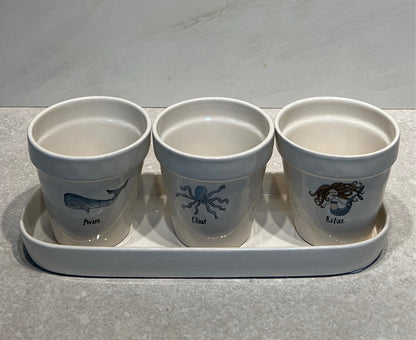Rae Dunn Planter