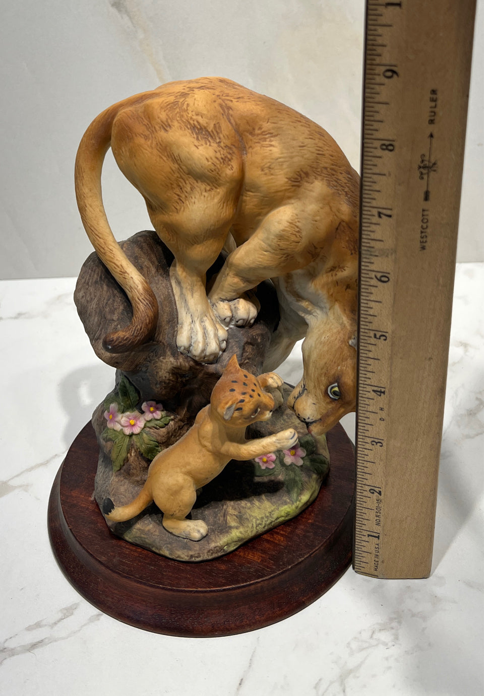 Mountain Lions