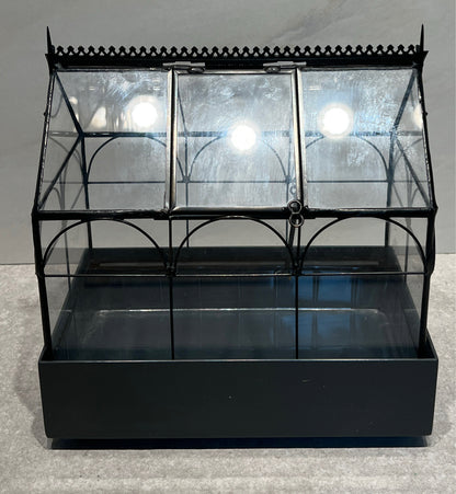 Terrarium