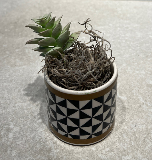 Artifical Decor