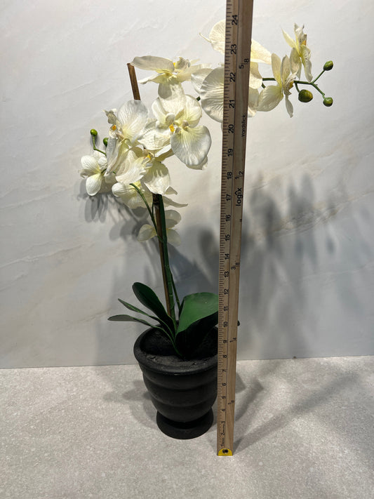 Floral Decor