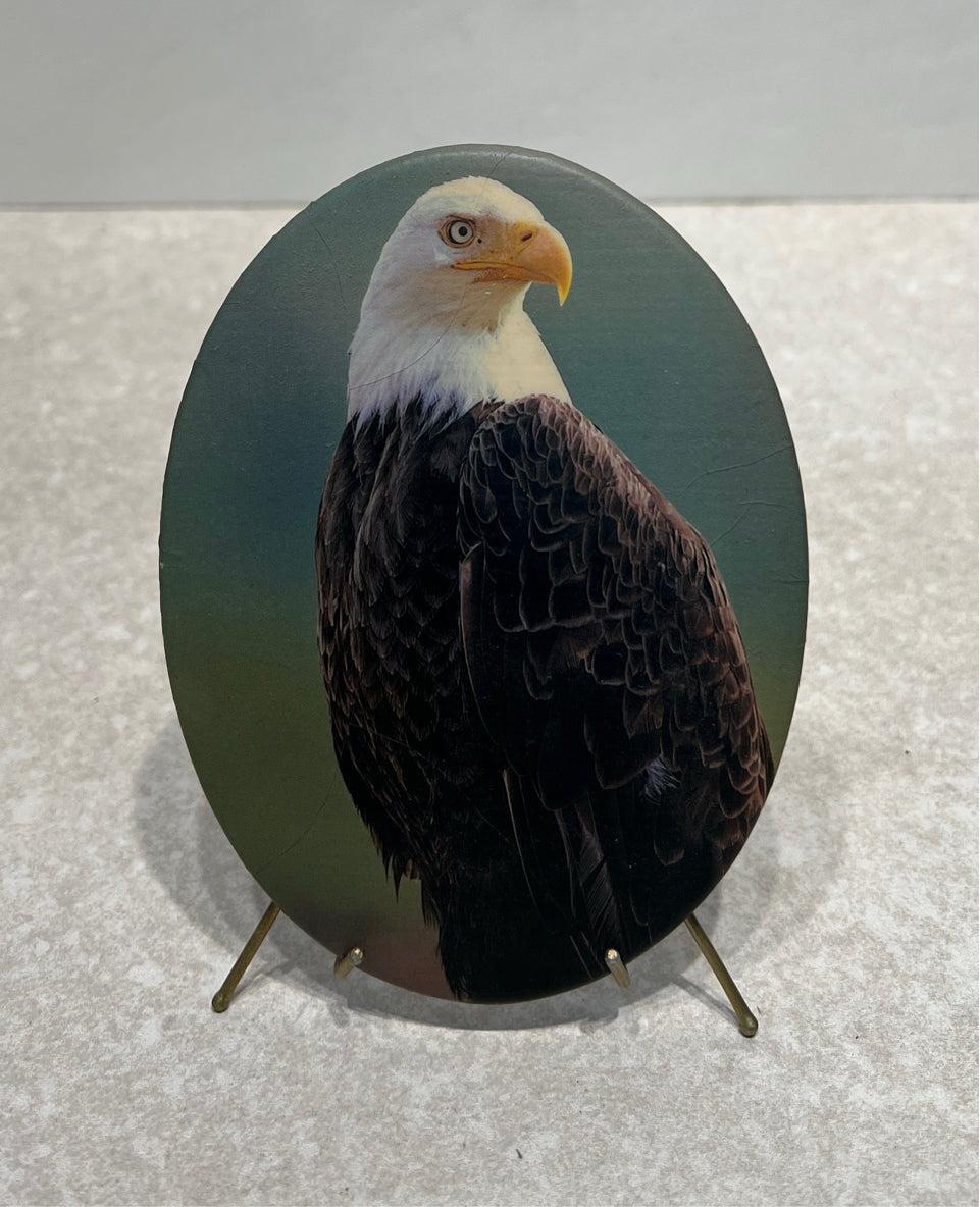 Eagle Plaque