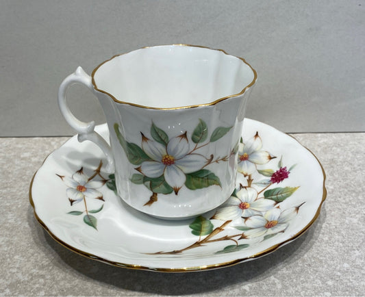 Cup And Saucer