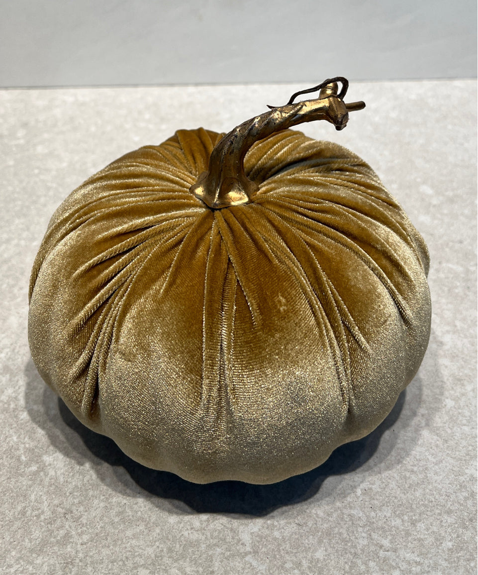 Pumpkin