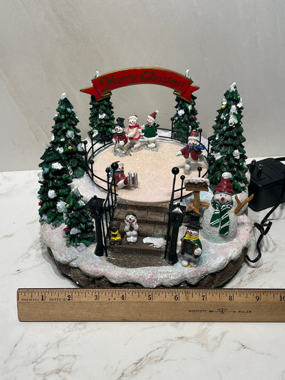 Lighted Skating Park
