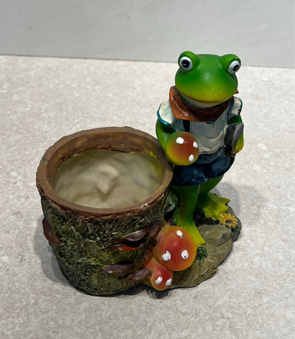 Frog Planter