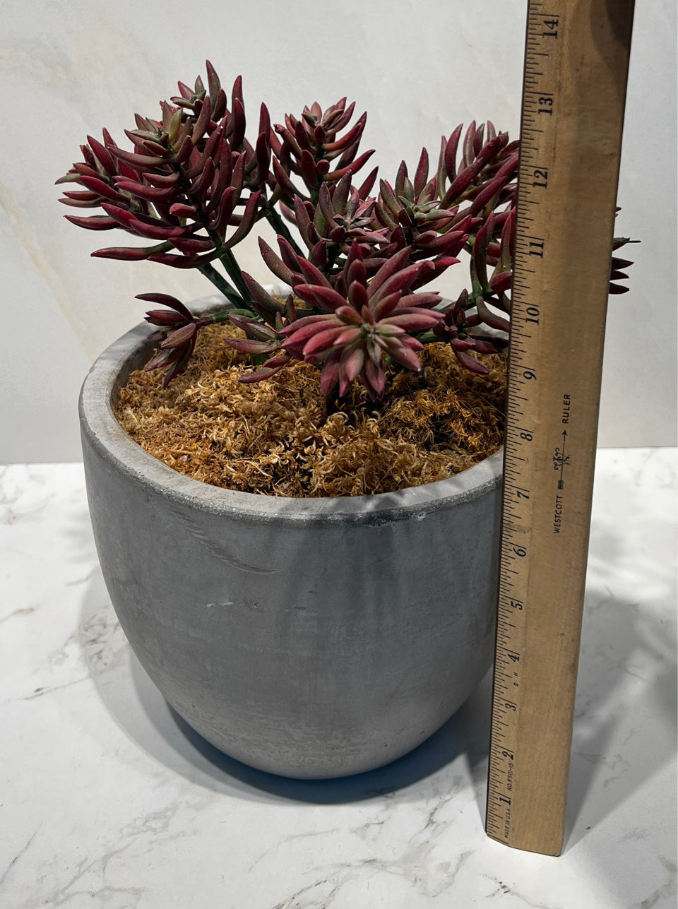 Artifical Decor
