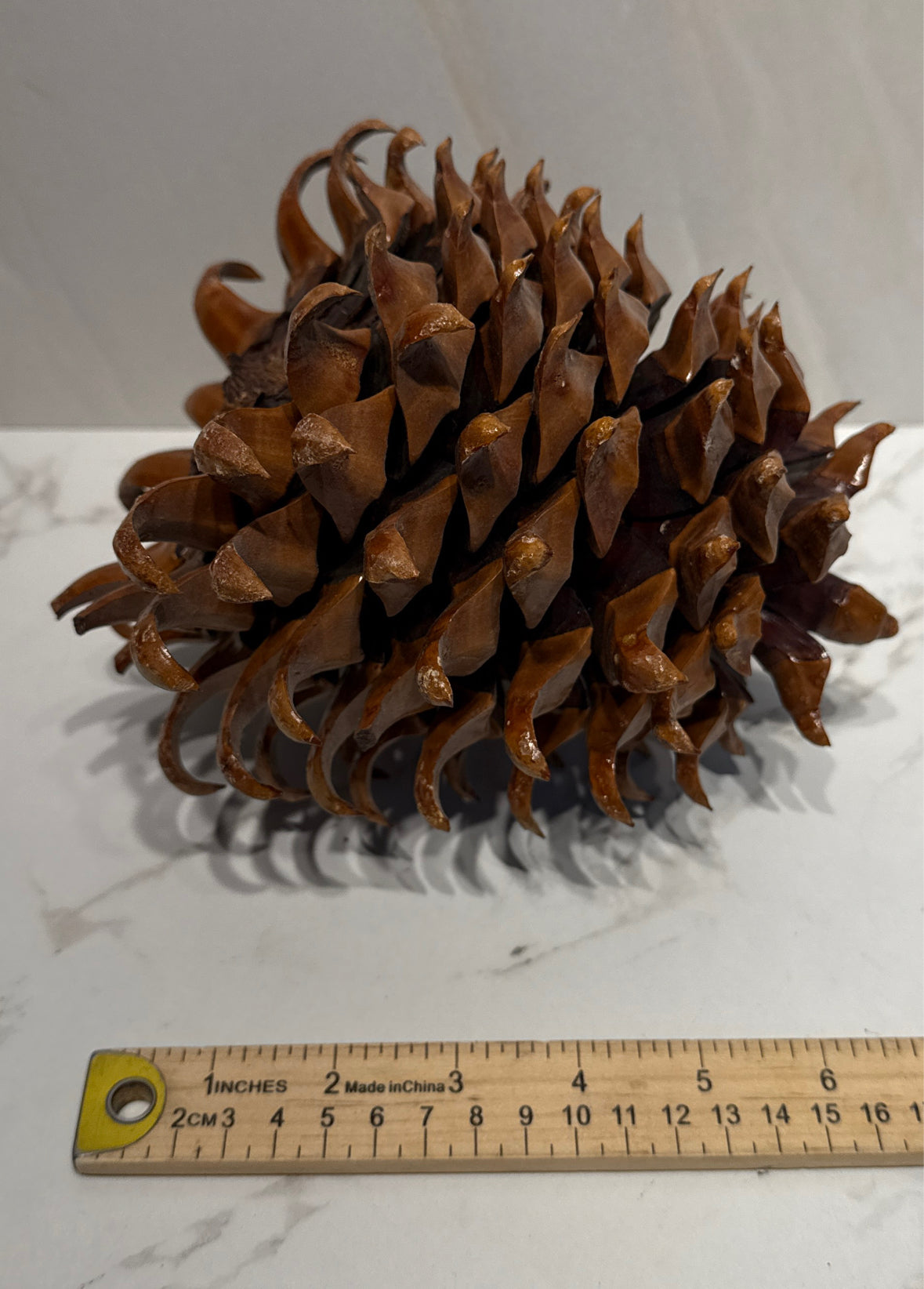 Pinecone Decor