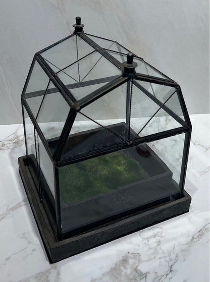 Terrarium