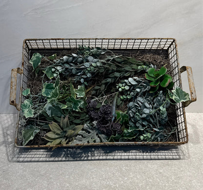 Handled Tray  Basket