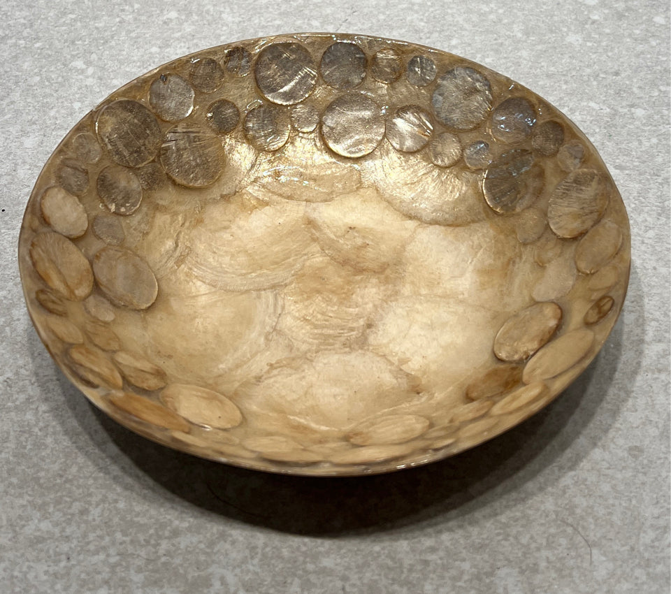 Shell Art Bowl