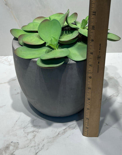Artifical Decor