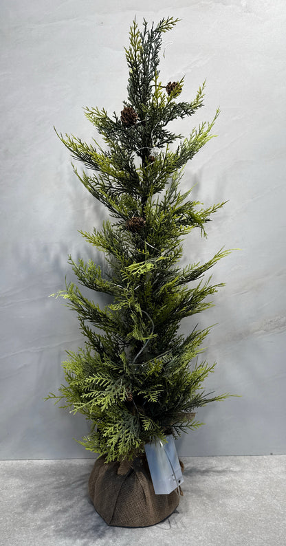Lighted Tree