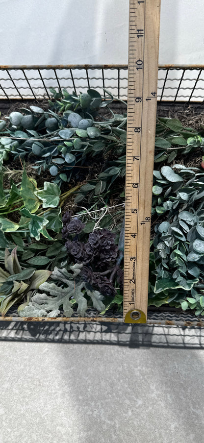 Handled Tray  Basket