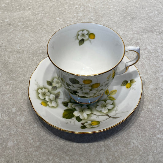 Cup And Saucer