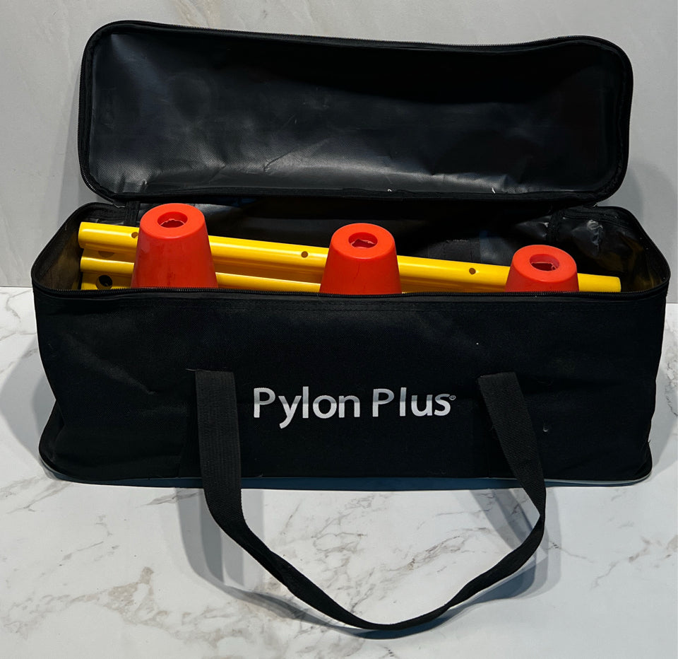 Pylon Plus Training Set