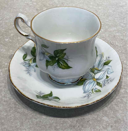 Paragon Cup and Saucer