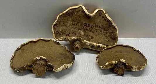 Set of 3 Antique Etched Mushrooms