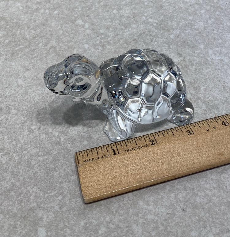 Glass Turtle