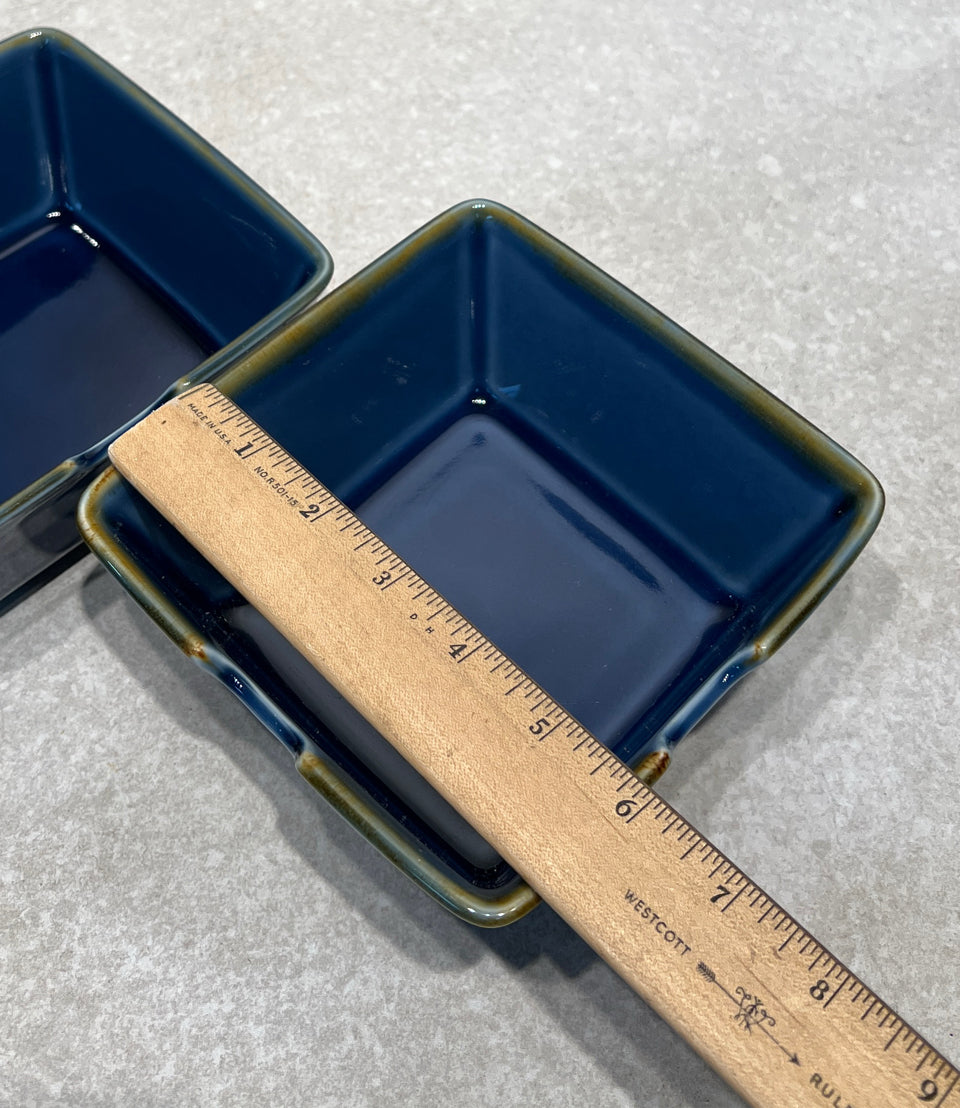 Set of 2 Pottery Barn Bowls