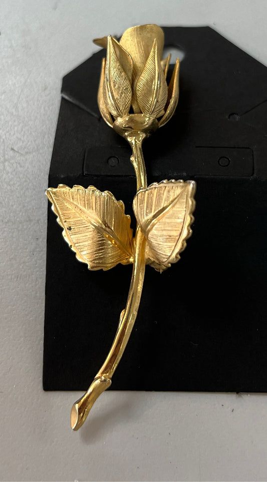 Giovanni Pin
