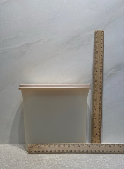 Tupperware COntainer