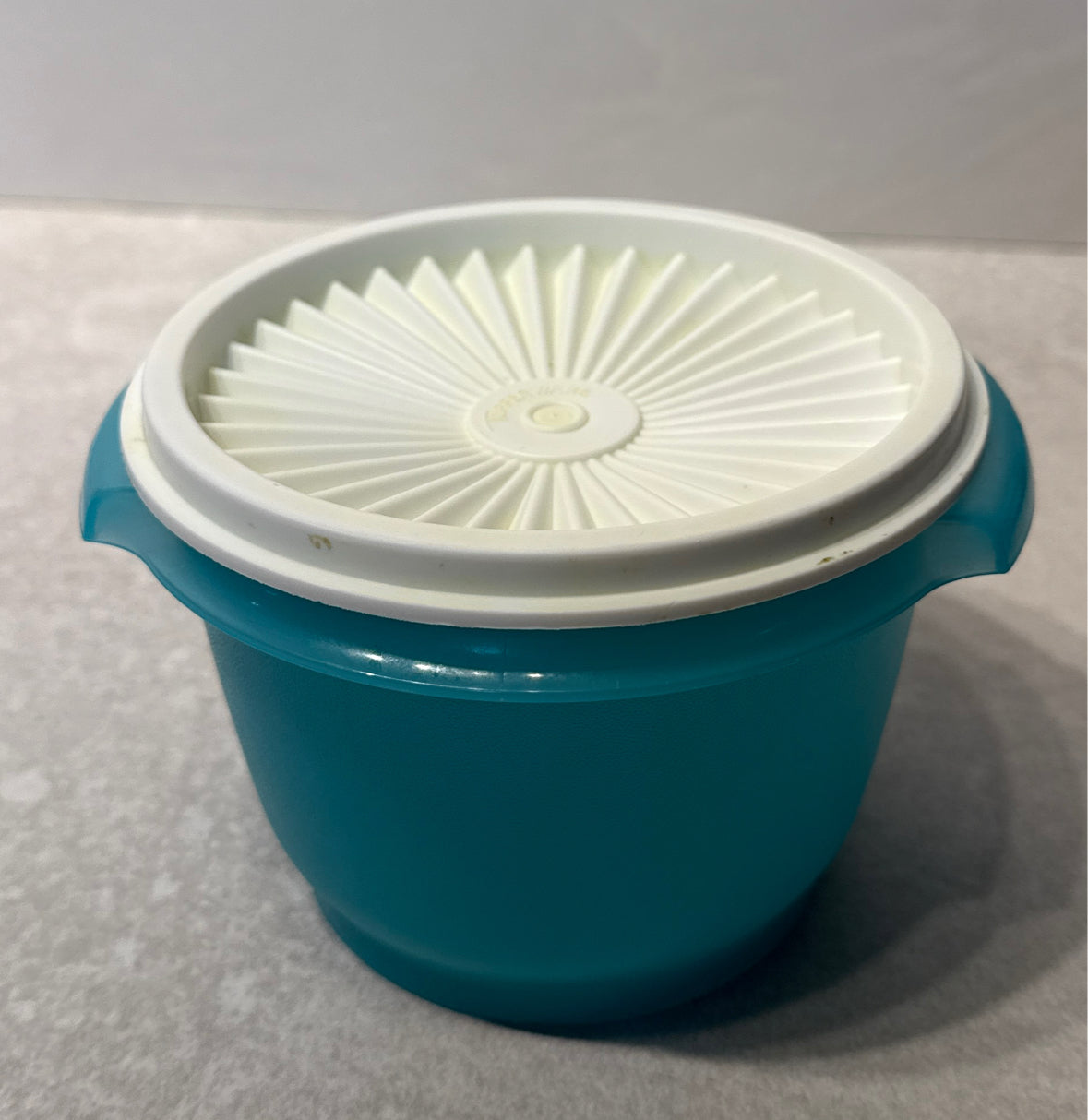 Tupperware Container