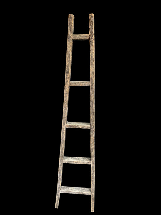 Ladder