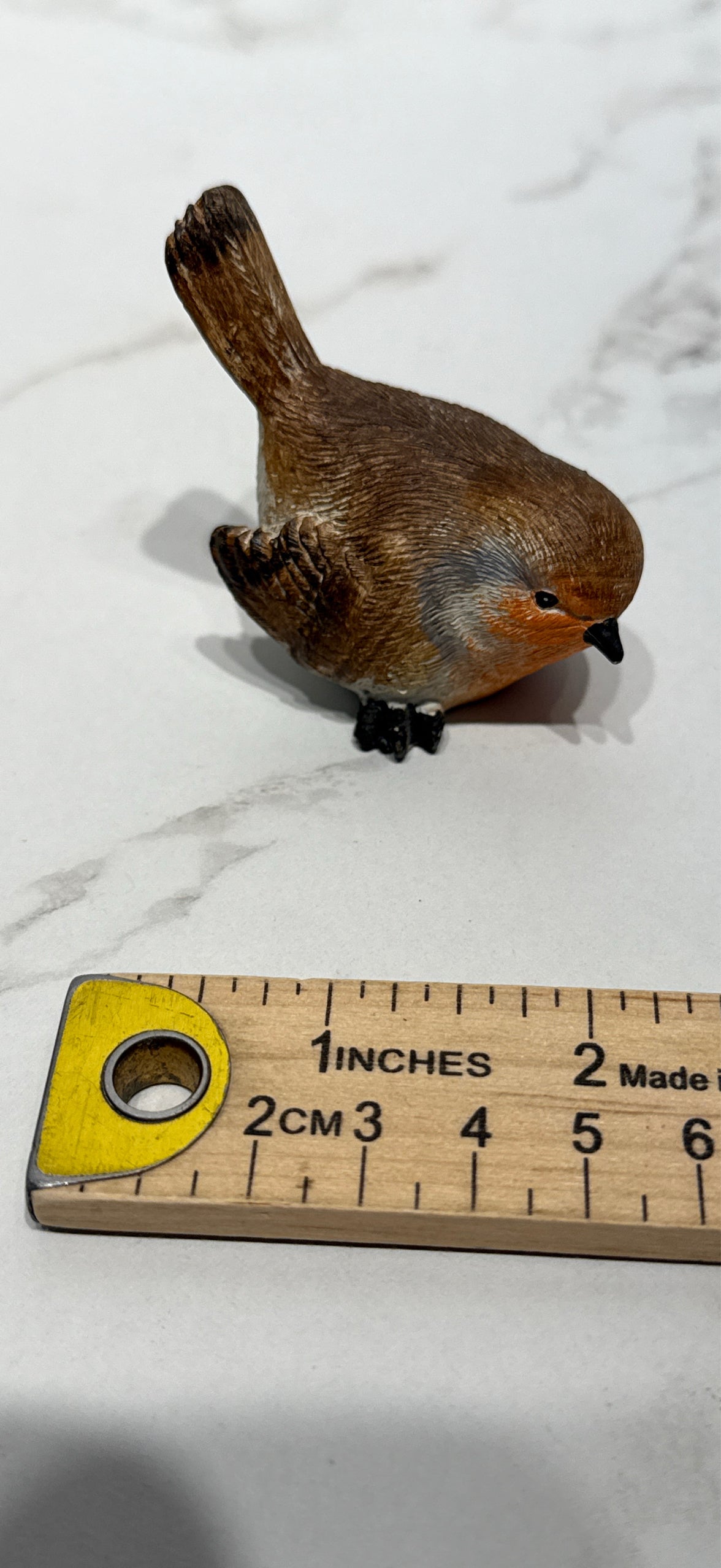 Bird