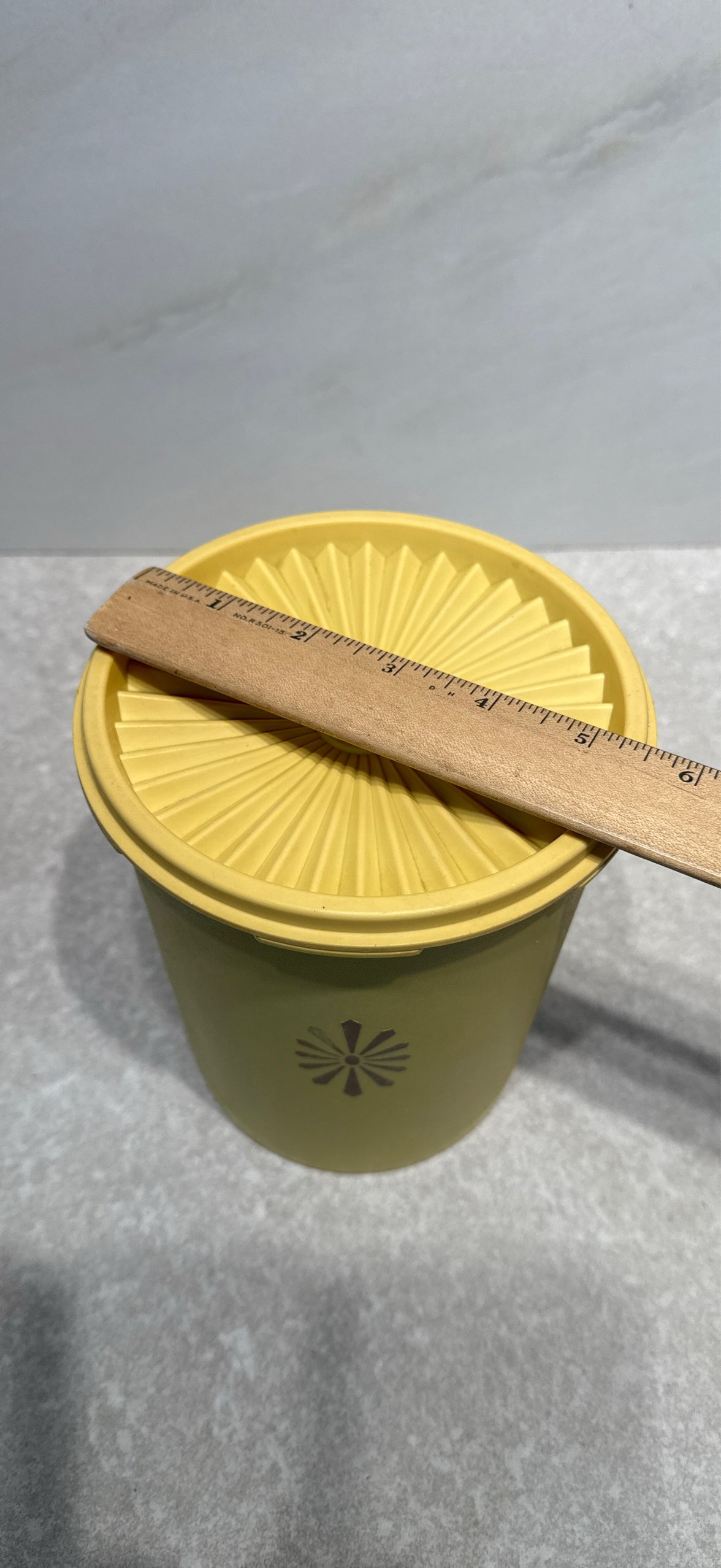 Covered Tupperware Canister