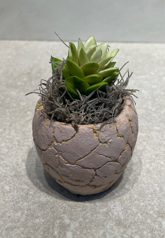 Artifical Decor