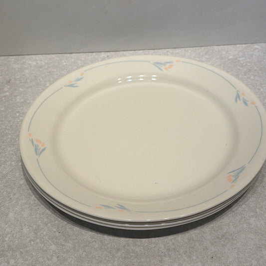 Set of 4 Corelle Dinner Plates