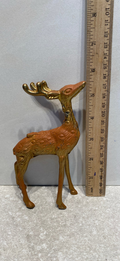 Deer