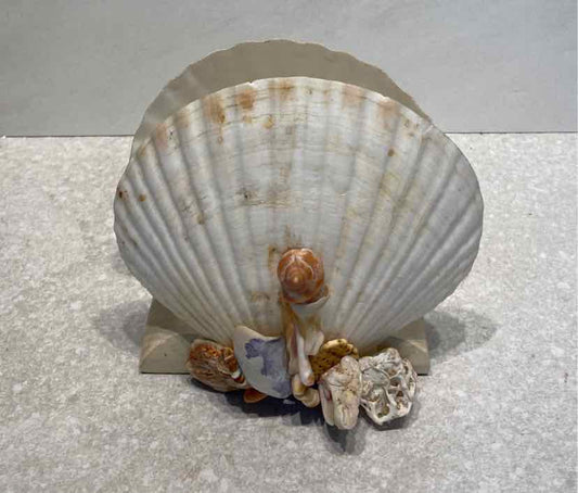 Shell Napkin Holder
