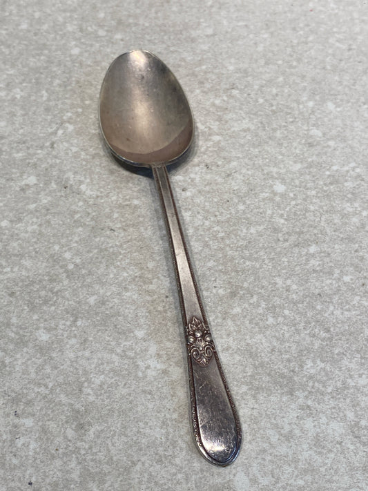 Kitchen Utensil