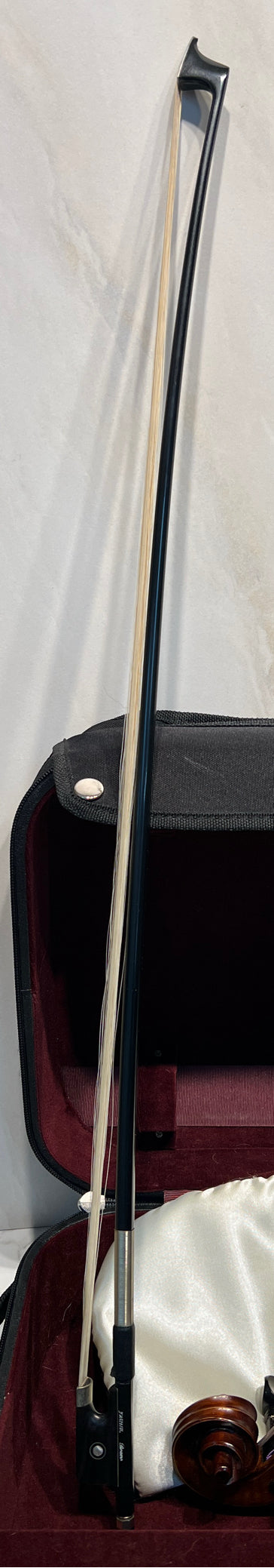 Violin With Bow And Case