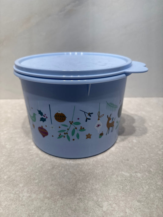 Tupperware Container