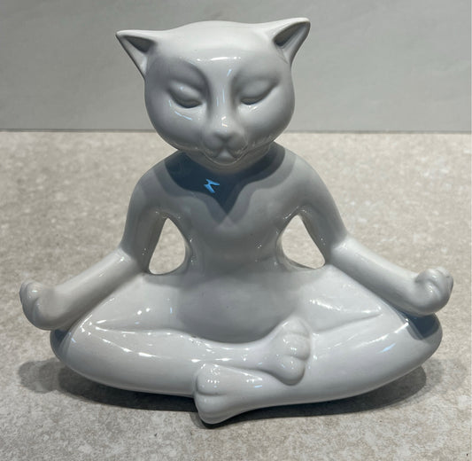 Yoga Cat