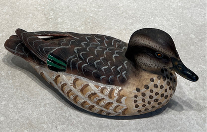 Duck