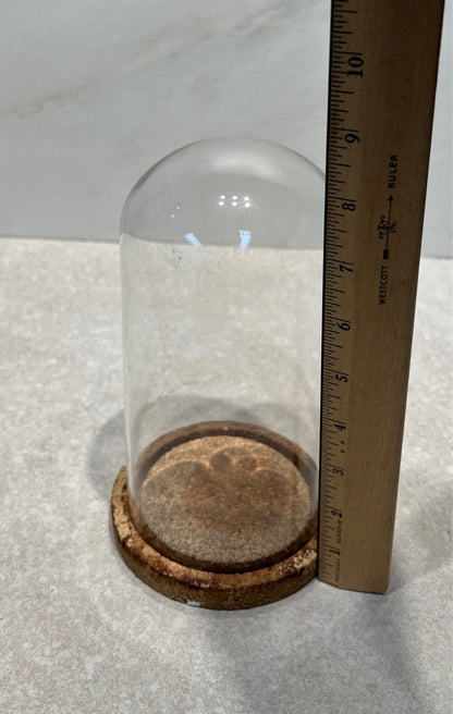 Cloche With Cork Base