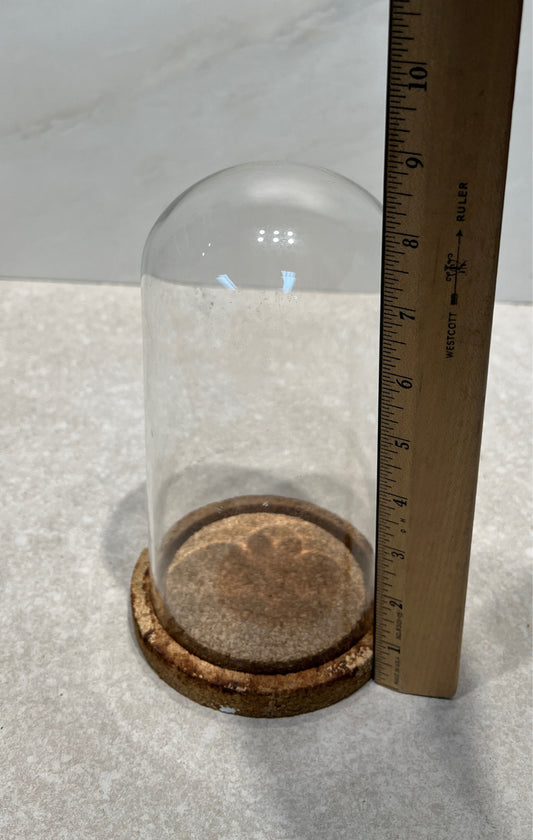 Cloche With Cork Base
