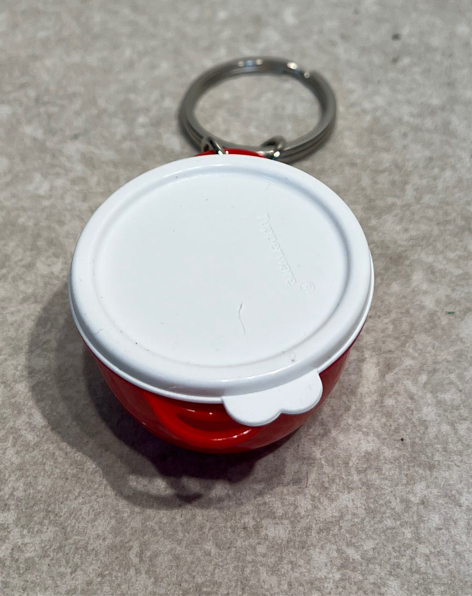 Tupperware Key Chain