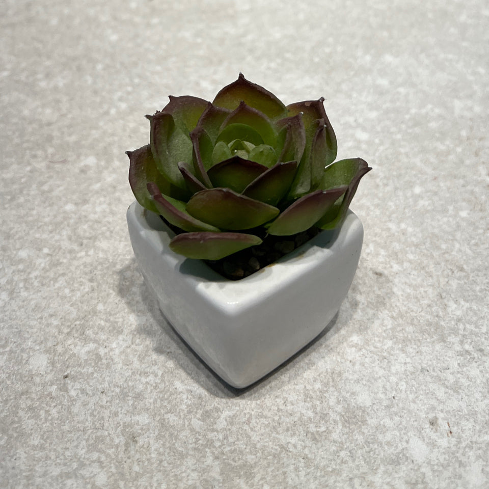 Artifical Decor