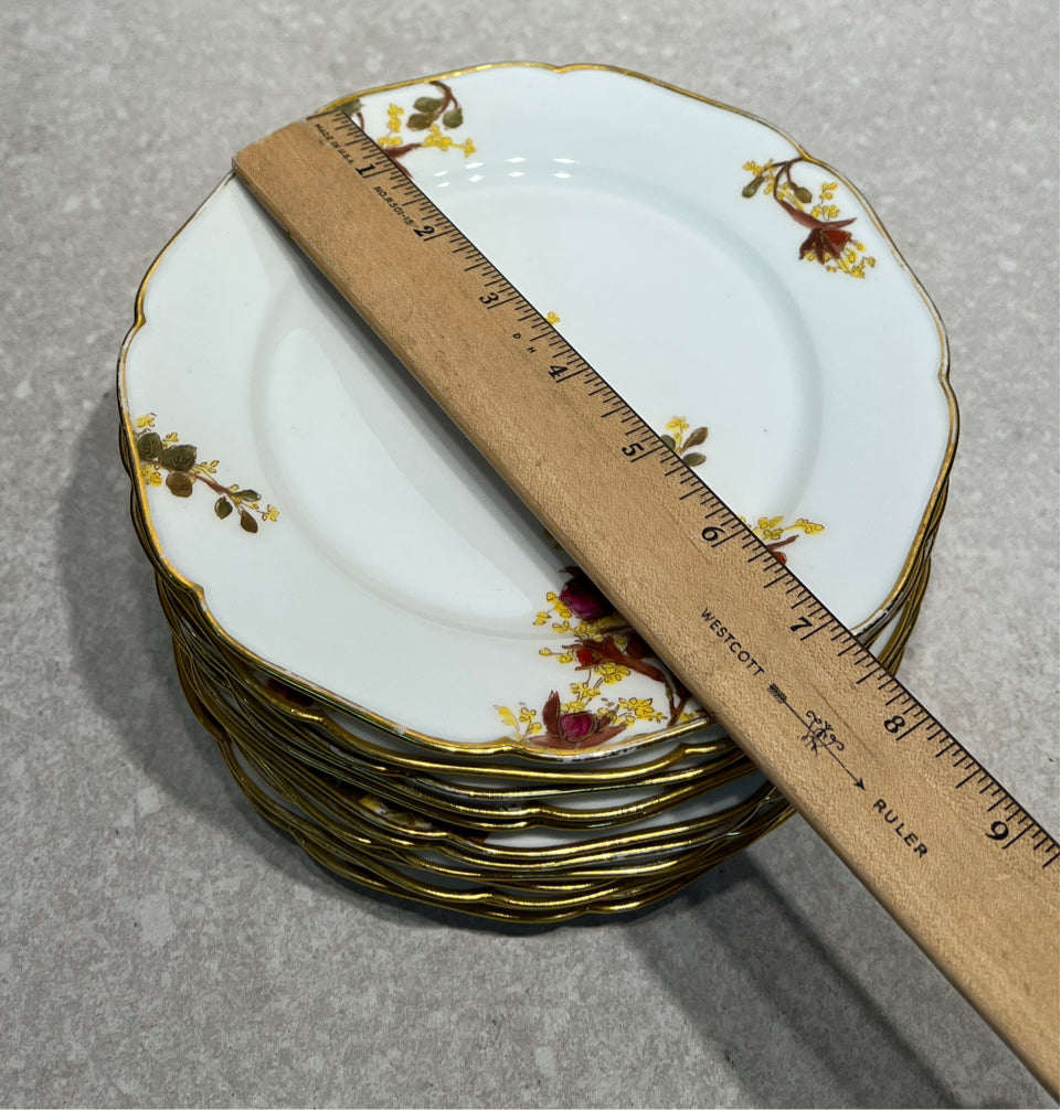 Set of 12 Haviland Plates