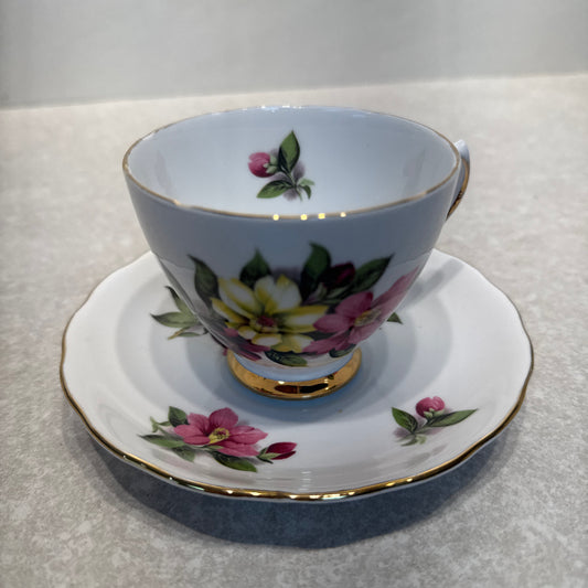 Cup And Saucer
