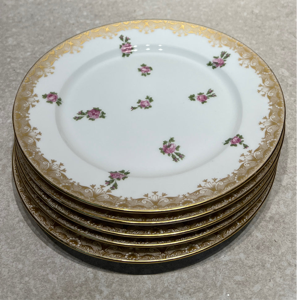 Set of 5 Limoges Plates